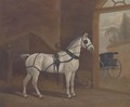 Fancy, a carriage horse - English School