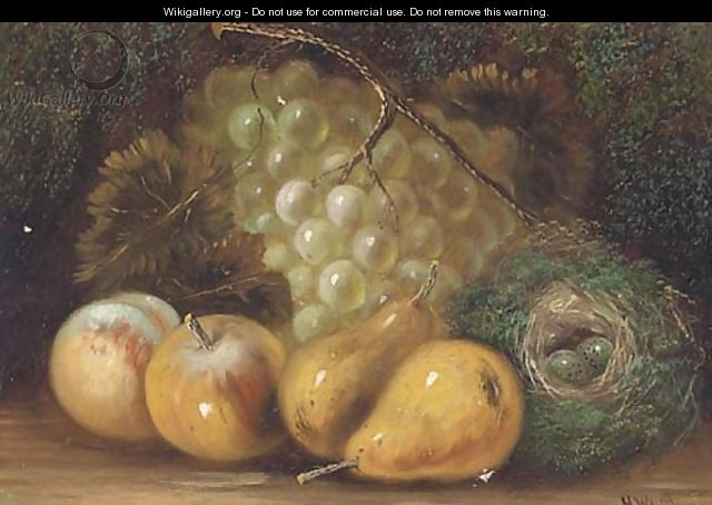 Grapes, apples, pears and a bird