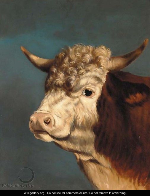 The head of a prize bull - English Provincial School