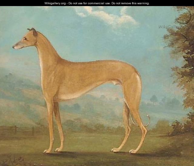 A greyhound in a landscape - English School