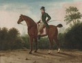A horse with a gentleman up - English School