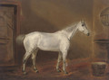 A grey hunter in a stable - English School