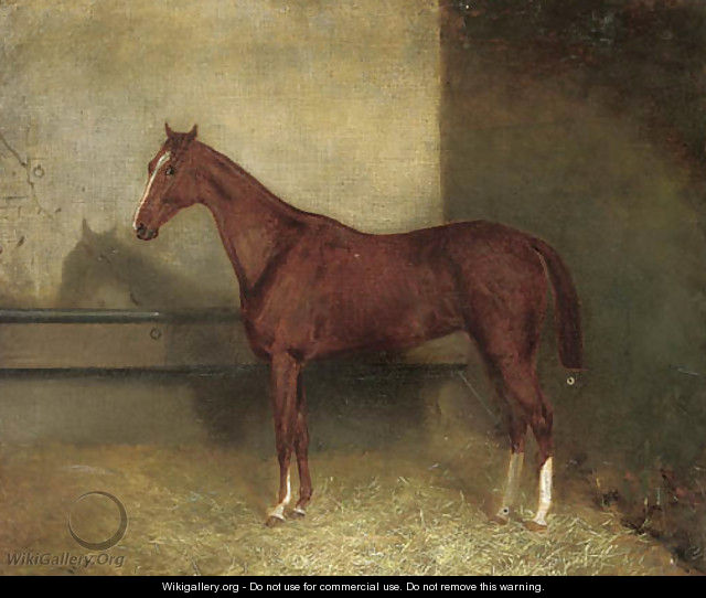 A chestnut hunter in a stable - English School