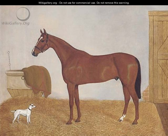 A chesnut horse in a stable - English School