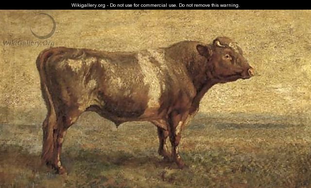 A bull in pasture - English School