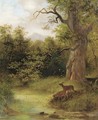 Deer in a park - Emil Rozsay