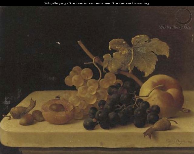 Grapes, Acorns, an Apricot and a Peach on a Ledge with a Fly - Emilie Preyer