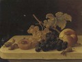 Grapes, Acorns, an Apricot and a Peach on a Ledge with a Fly - Emilie Preyer