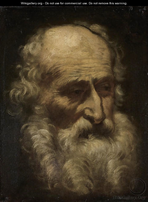 Head of a bearded man - Emilian School