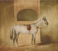 A saddled dapple grey in a stable - English Provincial School