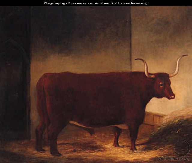 A Long Horn Bull in a Barn - English Provincial School