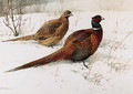 A Cock and Hen Pheasant in the Snow - Edward Penny