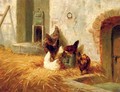 Hens outside their pen - Elchanon Verveer