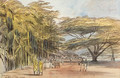 View of Ratnapura, Ceylon - Edward Lear