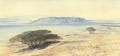 The southern end of the Dead Sea - Edward Lear