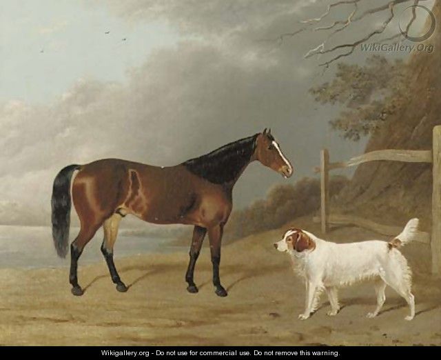 A Bay hunter with a dog by a fence - Edwin Cooper
