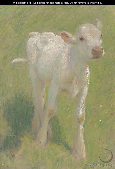 Study of a calf in a summer meadow - Edward Stott