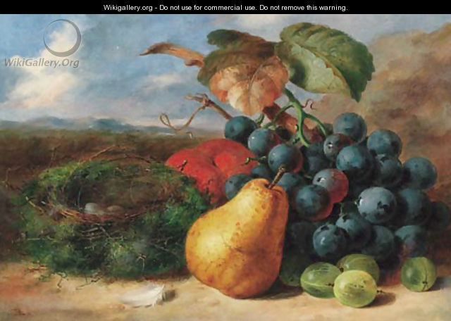 Gooseberries, a pear, a peach, grapes and a bird