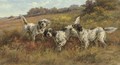 Three Setters in a Landscape - Edmund Henry Osthaus