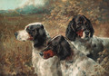 Three English Setters - Edmund Henry Osthaus