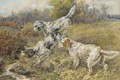 English Setters at a stream - Edmund Henry Osthaus