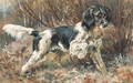 A Setter Retrieving - Edmund Henry Osthaus