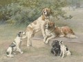 Two St. Bernards, a black Cocker Spaniel, an English Setter and a black and white Terrier - Edmund Henry Osthaus