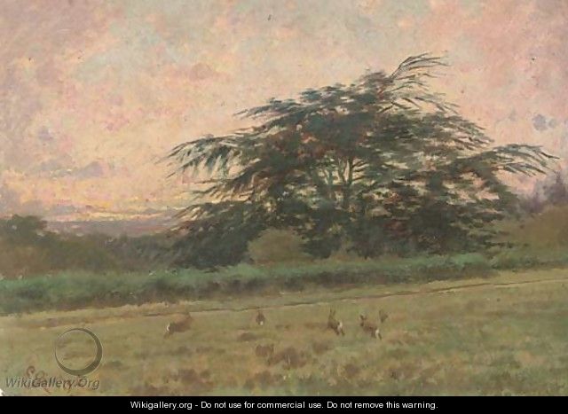 Bunnies at dawn, Brocket Hall Park, the Cedar - P.E. Rischgitz
