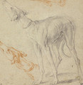 Two studies of a greyhound - Dutch School