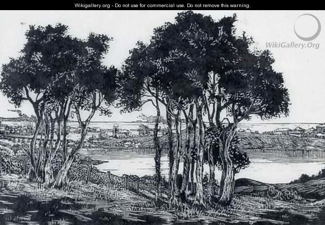 Sunny waters near Fremantle - Edith Trethowan