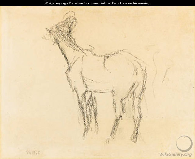 the first Study of a Horse raising his Head towards the Left - Edgar Degas