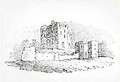 Castle Ruins from 'History of British Birds and Quadrupeds' - Thomas Falcon Bewick