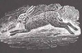 The Hare from 'History of British Birds and Quadrupeds' - Thomas Falcon Bewick