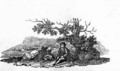 Man Seated by a Stunted Tree from 'History of British Birds and Quadrupeds' - Thomas Falcon Bewick