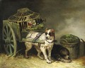 Coppia Di Cani Da Caccia - Henriette Ronner-Knip
