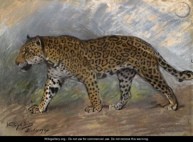 Jaguar - Geza Vastagh