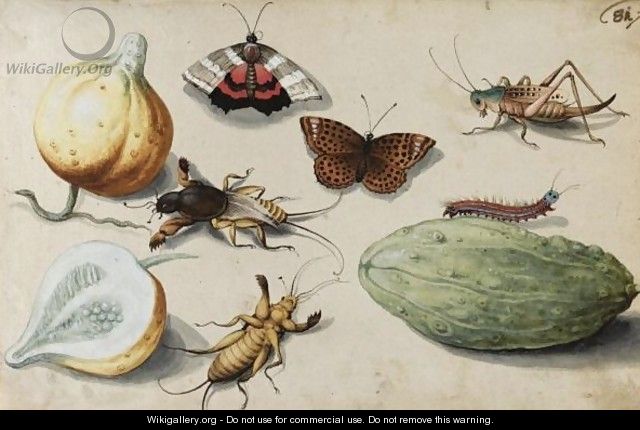 Butterfly, Beetle, Grasshopper And Caterpillar, With Gourds - (after) Georg Flegel