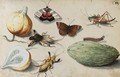 Butterfly, Beetle, Grasshopper And Caterpillar, With Gourds - (after) Georg Flegel