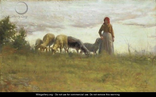 Pecore Al Pascolo - Adolfo Tommasi