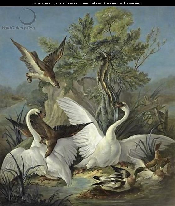 Swans And Ducks Attacked By An Eagle - (after) Jacques Charles Oudry