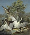 Swans And Ducks Attacked By An Eagle - (after) Jacques Charles Oudry