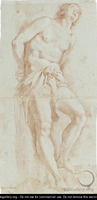 Study Of A Male Nude As St. Sebastian - Bolognese School