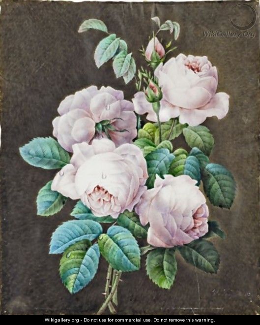 Bouquet Of Roses - (after) Pierre-Joseph Redoute