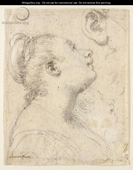 Study Of The Head And Shoulders Of A Woman In Profile And Separate Studies Of Her Head And Ear - Gregorio Pagani