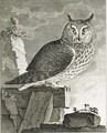 Histoire Naturelle. Parigi Imprimerie Royale, 1750-1767 - Georges de Buffon