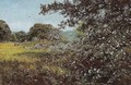 Early Summer - Edward Wilkins Waite