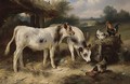 Calves And Hens Feeding - Walter Hunt