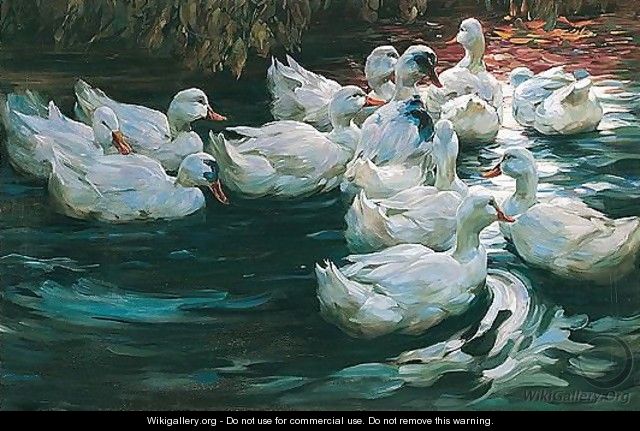 Heimwerts-enten Auf Einem Teich (Homeward Bound-eleven Ducks On A Pond) - Alexander Max Koester