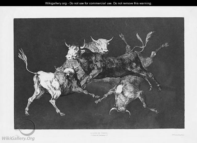 Disparate De Tontos - Francisco De Goya y Lucientes
