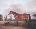 Epsom, A Favourite Hunter Belonging To Lady Eleanor Cecily Clifton Of Lytham Hall, Lancashire - John Ferneley, Snr.